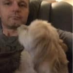 Why do Lhasa Apso’s Lick so Much? – Lhasa Apso Owner